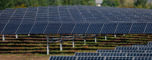 ENGIE refuerza su apuesta por el sector fotovoltaico español con la adquisición de Sofos Energía