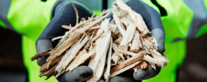 8 factores clave que necesitas conocer sobre la biomasa