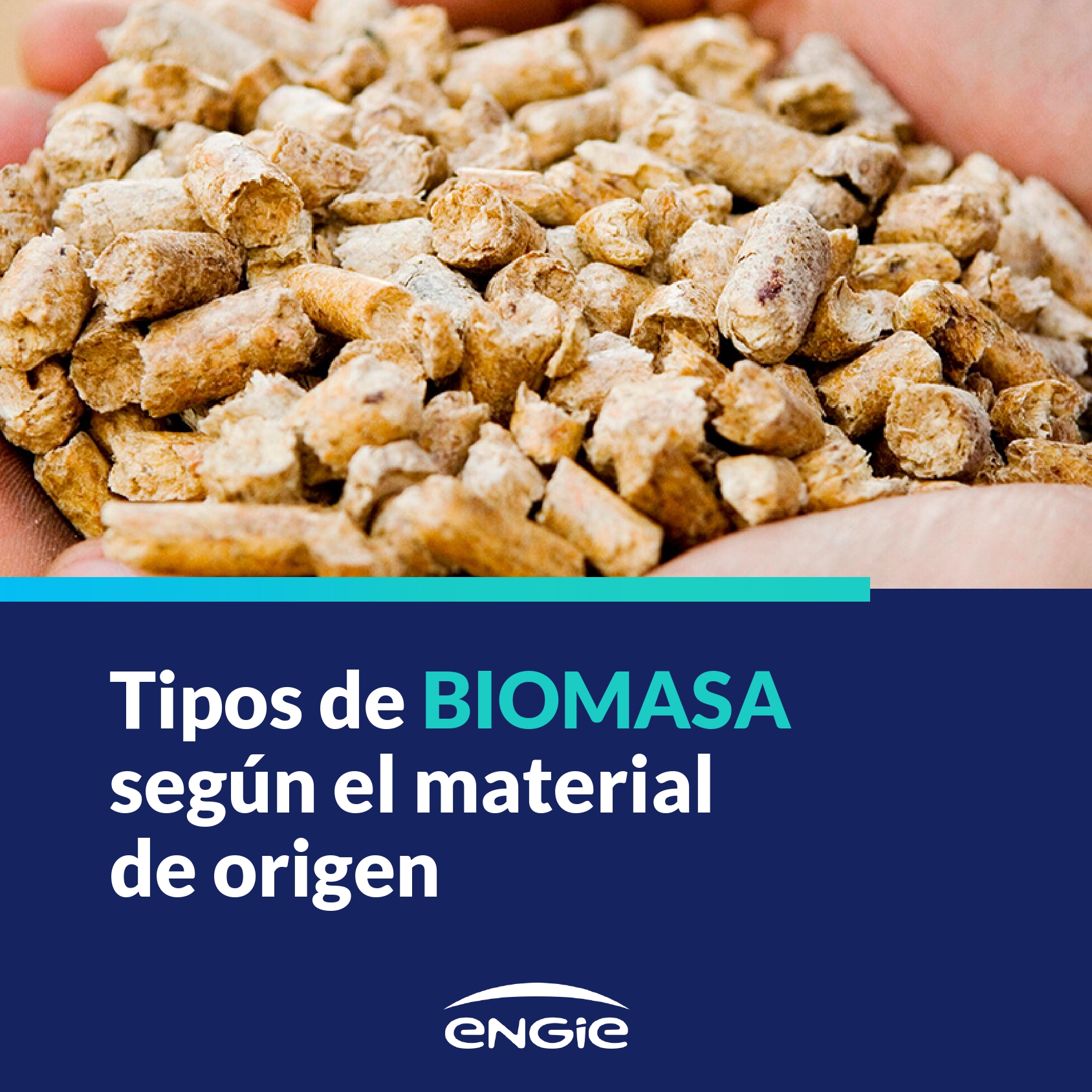 Tipos de combustibles de biomasa para producir energía renovable en España: desde la astilla forestal al residuo municipal.