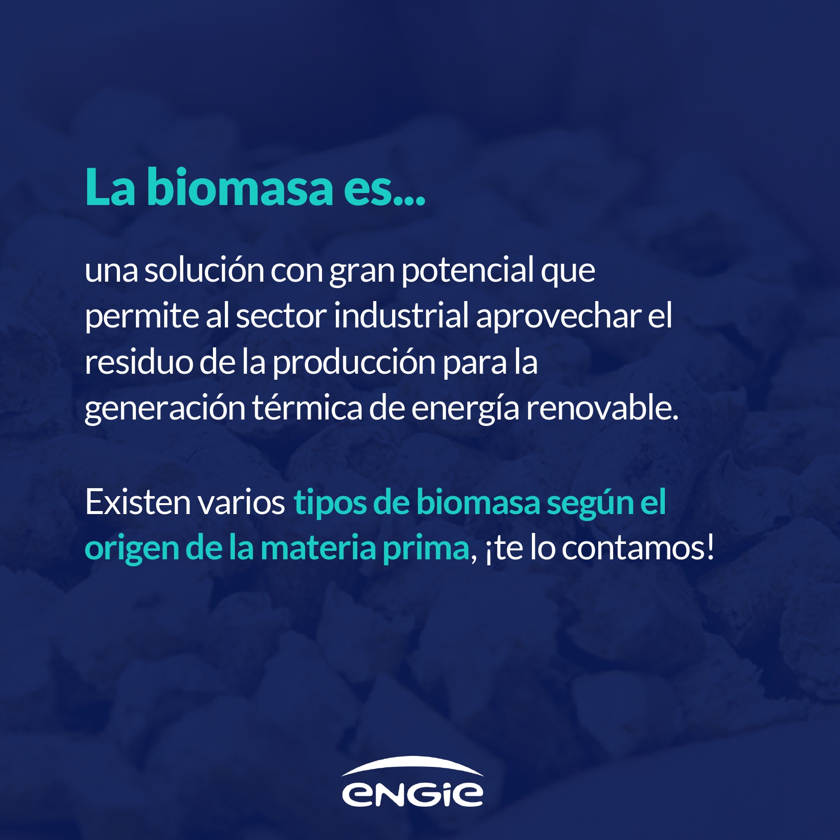 Tipos de combustibles de biomasa para producir energía renovable en España: desde la astilla forestal al residuo municipal.