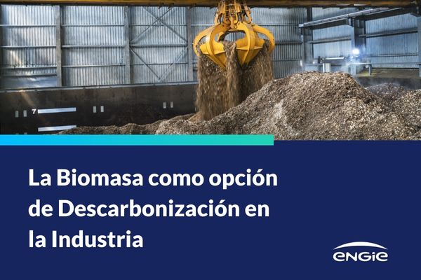 La Biomasa como opción de Descarbonización en la Industria