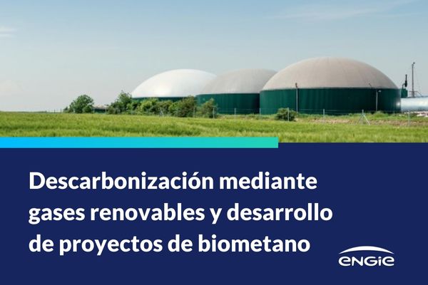 Descarbonización mediante gases renovables y desarrollo de proyectos de biometano