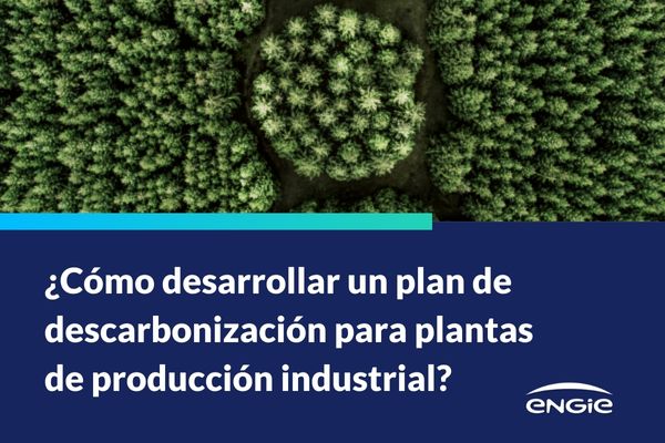 ¿Cómo desarrollar un plan de descarbonización para plantas de producción industrial?