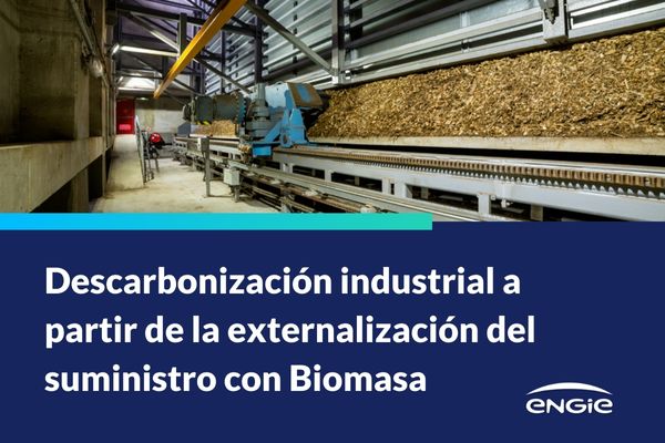 Descarbonización industrial a partir de la externalización del suministro energético con biomasa