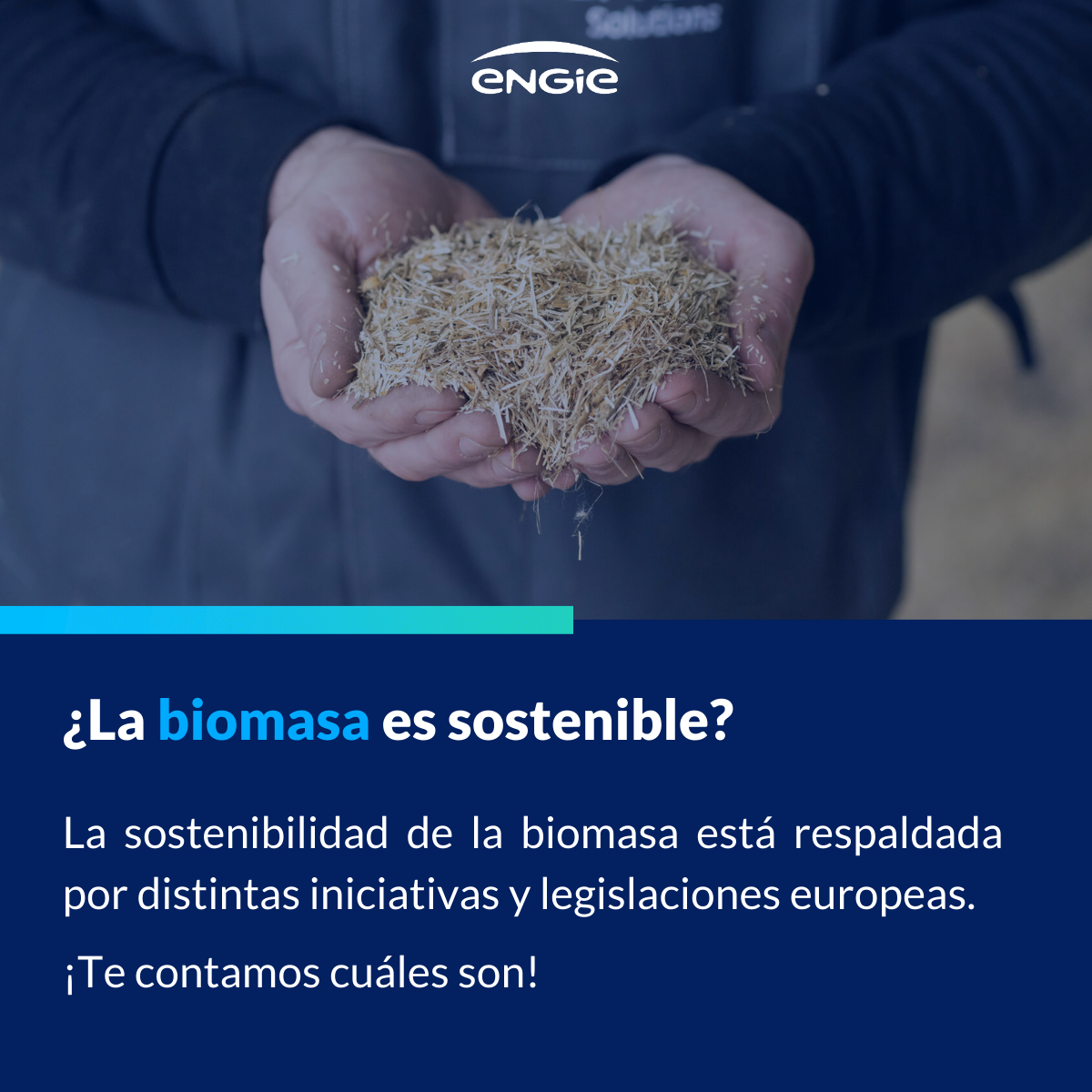 La sostenibilidad de la biomasa en España