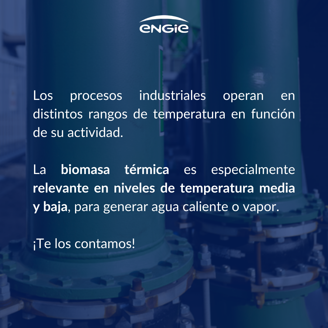 ¿En qué tipos de industrias es adecuada la biomasa en España?