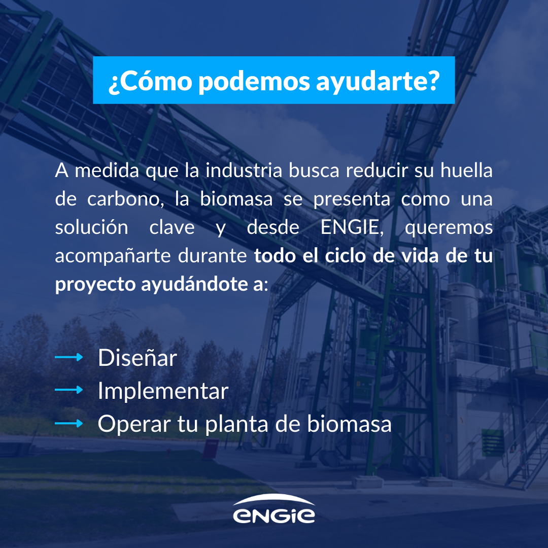 ¿En qué tipos de industrias es adecuada la biomasa en España?