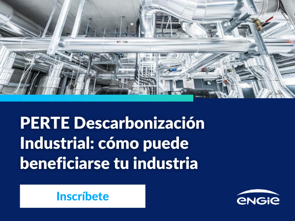 Webinar PERTE Descarbonización Industrial