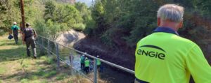 ENGIE rescata más de 1.500 truchas y casi un millar de otras especies en el canal de la Central Hidroeléctrica de Sossís