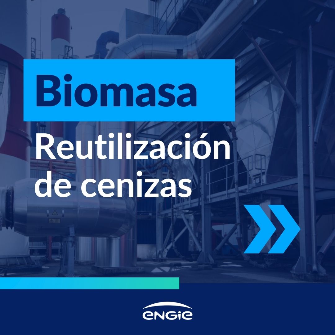 cenizas de biomasa